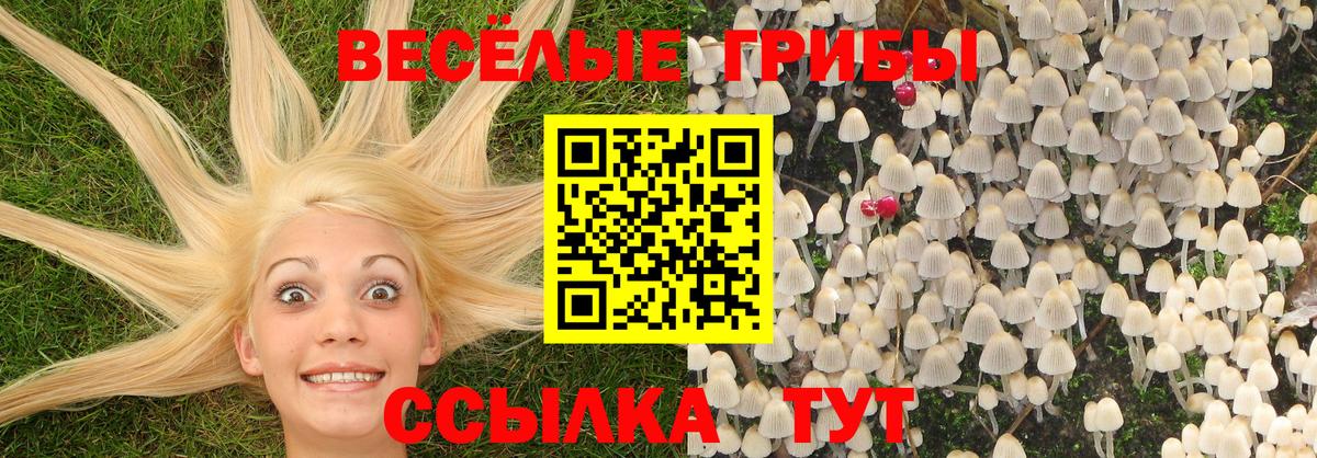Галлюциногенные грибы прущие грибы  Вход с VPN  сколько стоит  Ржев 